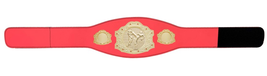 GOLD CHAMPIONSHIP BELT - XXLMIDI/G/KICKBOXG - AVAILABLE IN 4 LEATHER COLOURS GOLD CHAMPIONSHIP BELT - XXLMIDI/G/KICKBOXG - AVAILABLE IN 4 LEATHER COLOURS